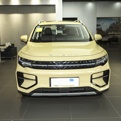 Geely RD6 Pure Electric Pickup Truck 4 deuren 5 zitplaatsen Body Structure ABS systeem inbegrepen