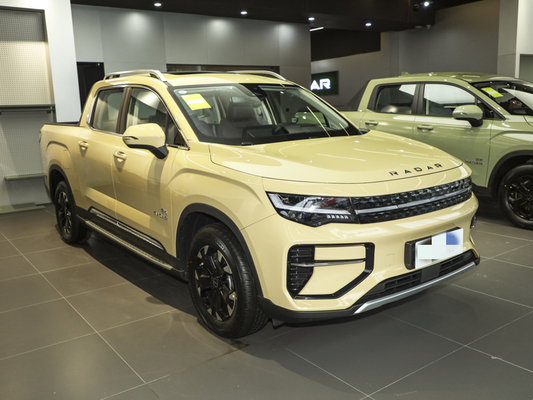 Geely RD6 Pure Electric Pickup Truck 4 deuren 5 zitplaatsen Body Structure ABS systeem inbegrepen