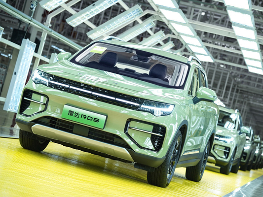 Geely RD6 Pure Electric Pickup Truck 4 deuren 5 zitplaatsen Body Structure ABS systeem inbegrepen