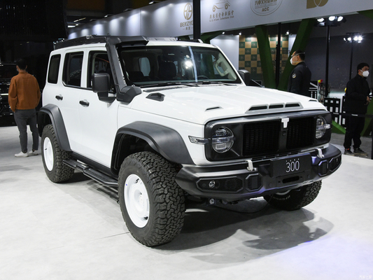 2023 GWM Off-road Tank 300 SUV Auto 2.0T Benzinebrandstof 4WD Uitgerust met LED koplamp