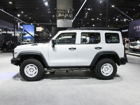 2023 GWM Off-road Tank 300 SUV Auto 2.0T Benzinebrandstof 4WD Uitgerust met LED koplamp