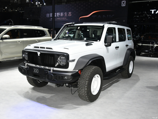 2023 GWM Off-road Tank 300 SUV Auto 2.0T Benzinebrandstof 4WD Uitgerust met LED koplamp