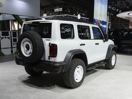 2023 GWM Off-road Tank 300 SUV Auto 2.0T Benzinebrandstof 4WD Uitgerust met LED koplamp