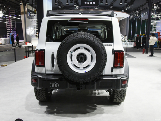 2023 GWM Off-road Tank 300 SUV Auto 2.0T Benzinebrandstof 4WD Uitgerust met LED koplamp