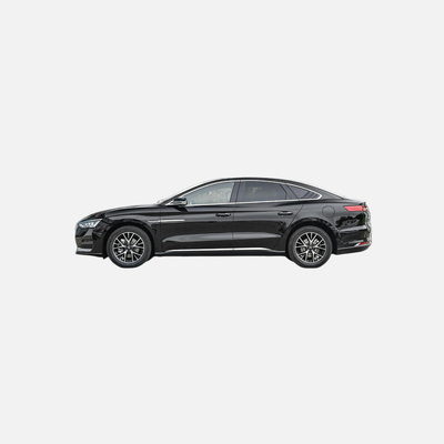 BYD E9 Energie Airconditioning Elektrische auto Snel 0,5 uur opladen Tijd te beperken Gewicht 1940kg