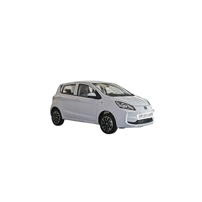 301km Pure Electric Cruising Range Changan E-star 5 zitplaatsen Utility Vehicle Elektrische auto