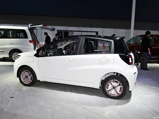 JAC Sehol E10X Flower Fairy Mini Electric Car van met 1100kg beperkt gewicht voor volwassenen