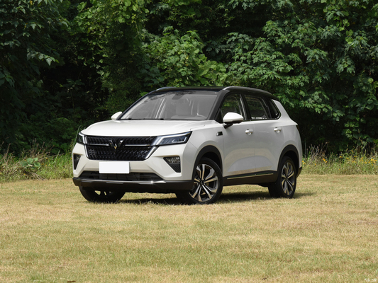 Handmatige parkeerrem 2021 Wuling Star 1.5T CVT Xingyao Edition 4-deurs 5-zits SUV