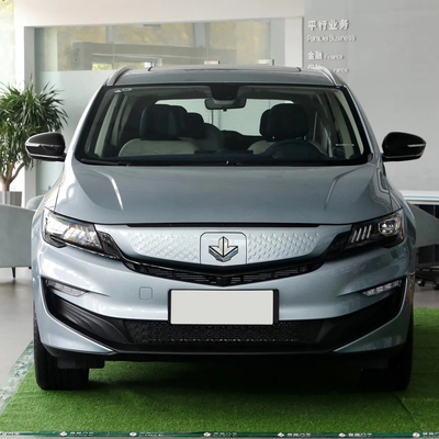 Maple 80V Pro 2022 5 zitplaatsen 6 zitplaatsen MPV Pure Electric Vehicle met een topsnelheid van 130 KM/h