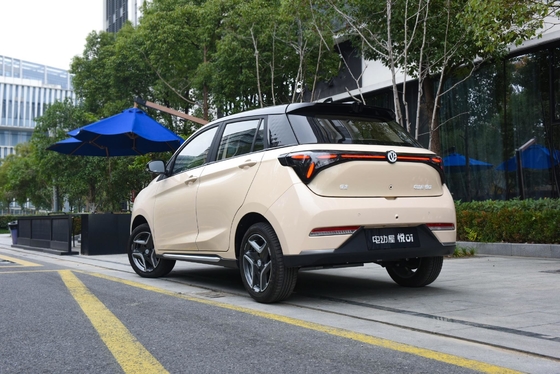 335KM Pure Electric Range Yue 01 2024 Model Lingyue Versie met batterij type lithium