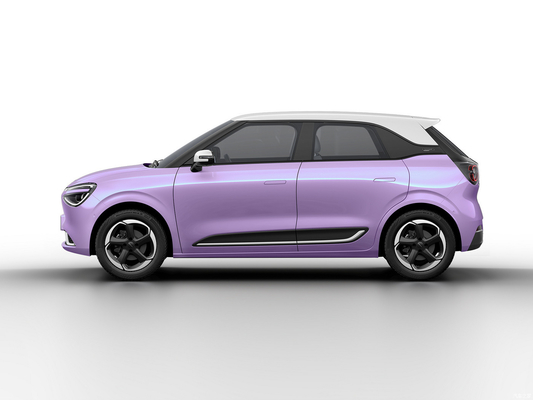 Max Smart Energy Vehicle Dongfeng Nami 01 2024 430 met 4030*1810*1570 carrosseriestructuur
