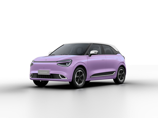 Max Smart Energy Vehicle Dongfeng Nami 01 2024 430 met 4030*1810*1570 carrosseriestructuur