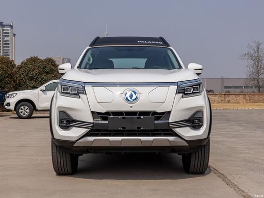 Intelligente navigatie-editie 411 km puur elektrische Nissan Dongfeng Ruiqi 7 Palaso Van