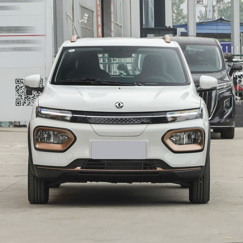Nammi BoxEV Light Wind Version Standard Model Batterijduur 201KM Chinese familieauto SUV